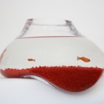 Fish Bubbles. Photo Courtesy of Psalt