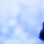 Blued to Perfection. jesse boykins III