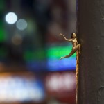 Little Lady, Big City. Hanging On 1 - blog
