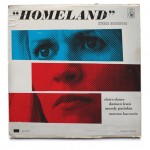 Live at the Homeland. Courtesy of Mattson Creative.