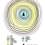 The Circles of Life. 422131_300420370088668_1443275760_n