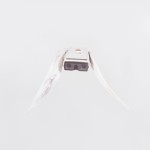 Fly Pictures. birds-10