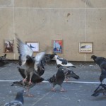 For the Birds. 10457_340580989367829_807788969_n_1