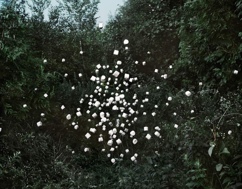Marshmallows. | Thomas Jackson.